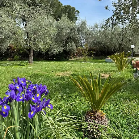Villa La Piccola Provenza *